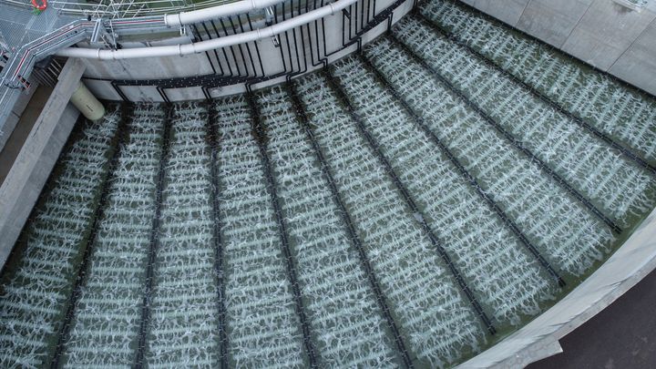 Melbourne Water - Western Treatment Plant