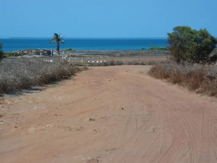 AACAP - Dampier Peninsula