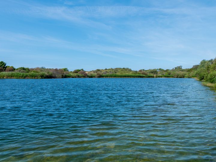 Fens and Lincolnshire Reservoirs